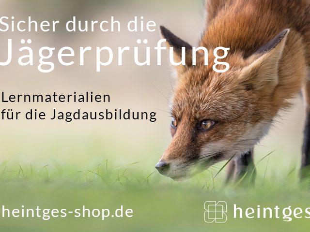 <a href="https://heintges-shop.de?a_aid=JS-Artemis&amp;a_bid=f69a52eb" target=""><img src="//htg.postaffiliatepro.com/accounts/default1/bkhfa70l6/f69a52eb.jpg" alt="Heintges Shop" title="Heintges Shop" width="800" height="480" /></a><img style="border:0" src="https://htg.postaffiliatepro.com/scripts/ikhfa70l6?a_aid=JS-Artemis&amp;a_bid=f69a52eb" width="1" height="1" alt="" />